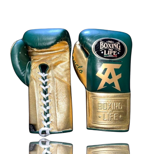 No Boxing No Life Glove - online, NBNL Boxing Gloves, Limited Addition