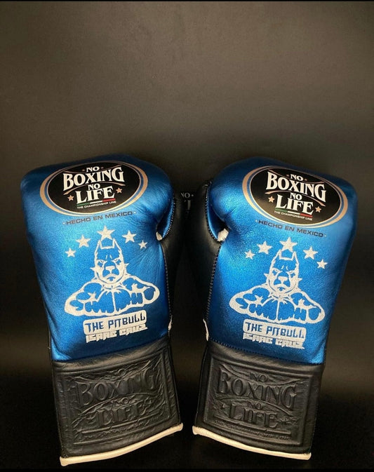 No Boxing No Life Glove - online, NBNL Boxing Gloves, Limited Addition