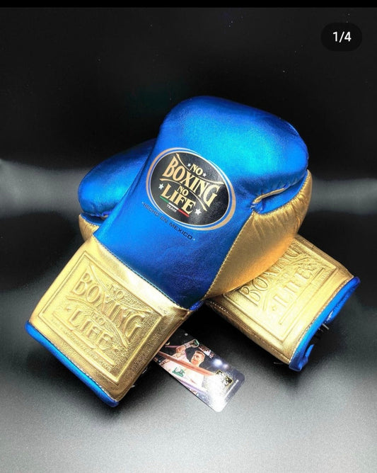 No Boxing No Life Glove - online, NBNL Boxing Gloves, Limited Addition