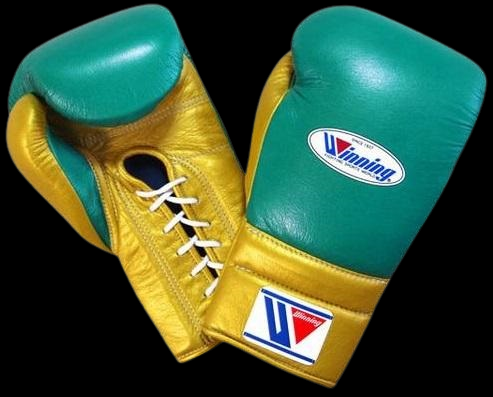 Customizable boxing glove , Glove Forge online , GREEN boxing gloves, High Quality COPIES of Branded Gloves, BLACK Birthday gift for Friends,