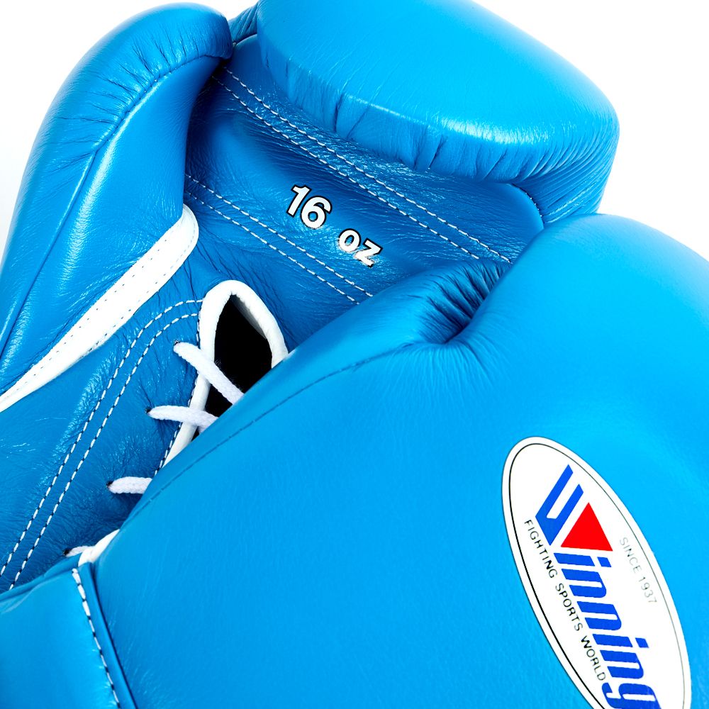 Winning boxing gloves, blue christmas gift for mens Thanksgiving gifts for him