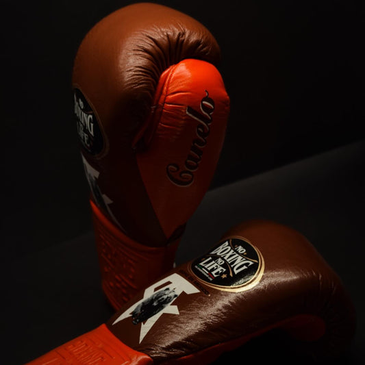 No Boxing No Life Glove - online, NBNL Boxing Gloves, Limited Addition