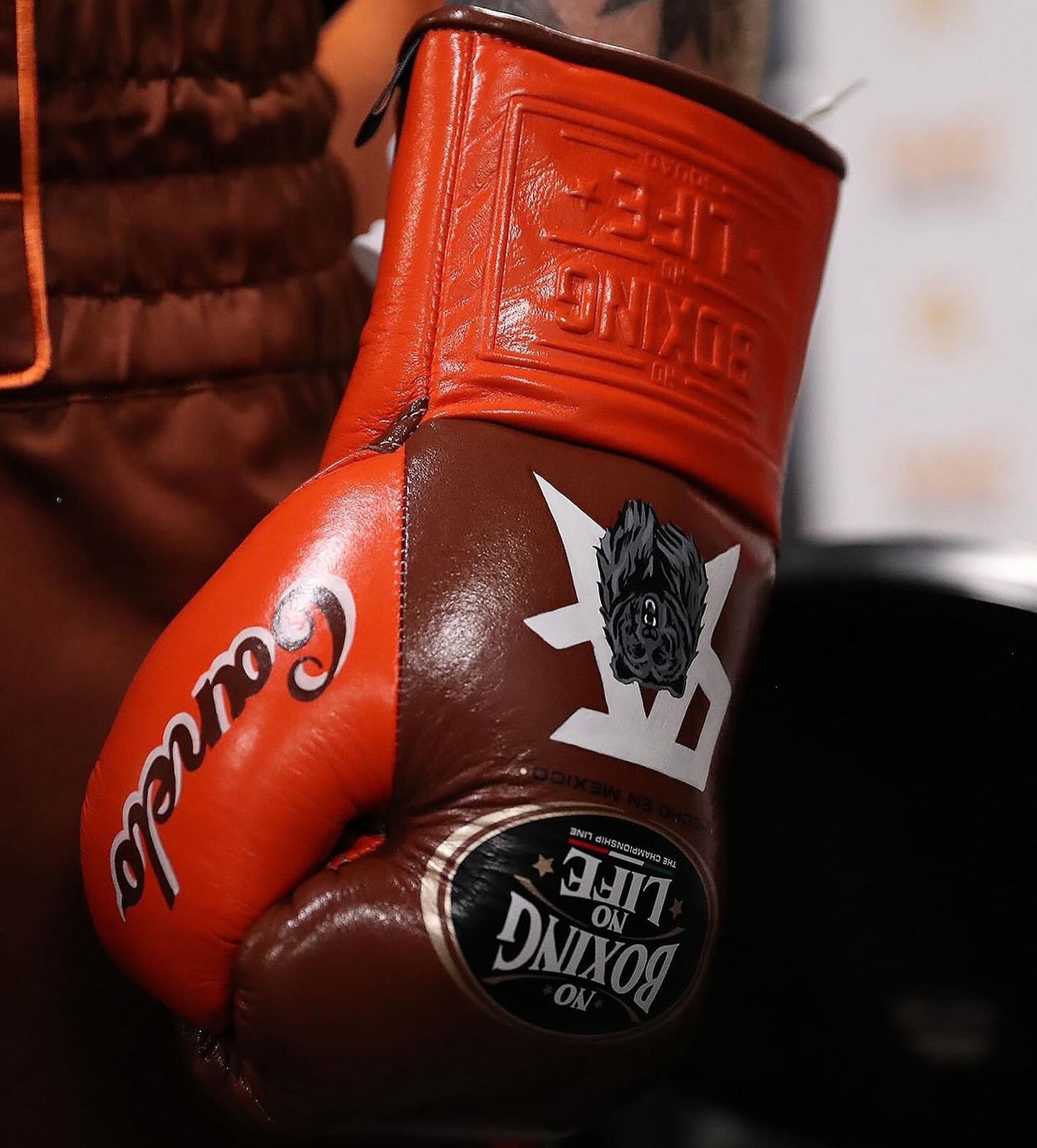 No Boxing No Life Glove - online, NBNL Boxing Gloves, Limited Addition