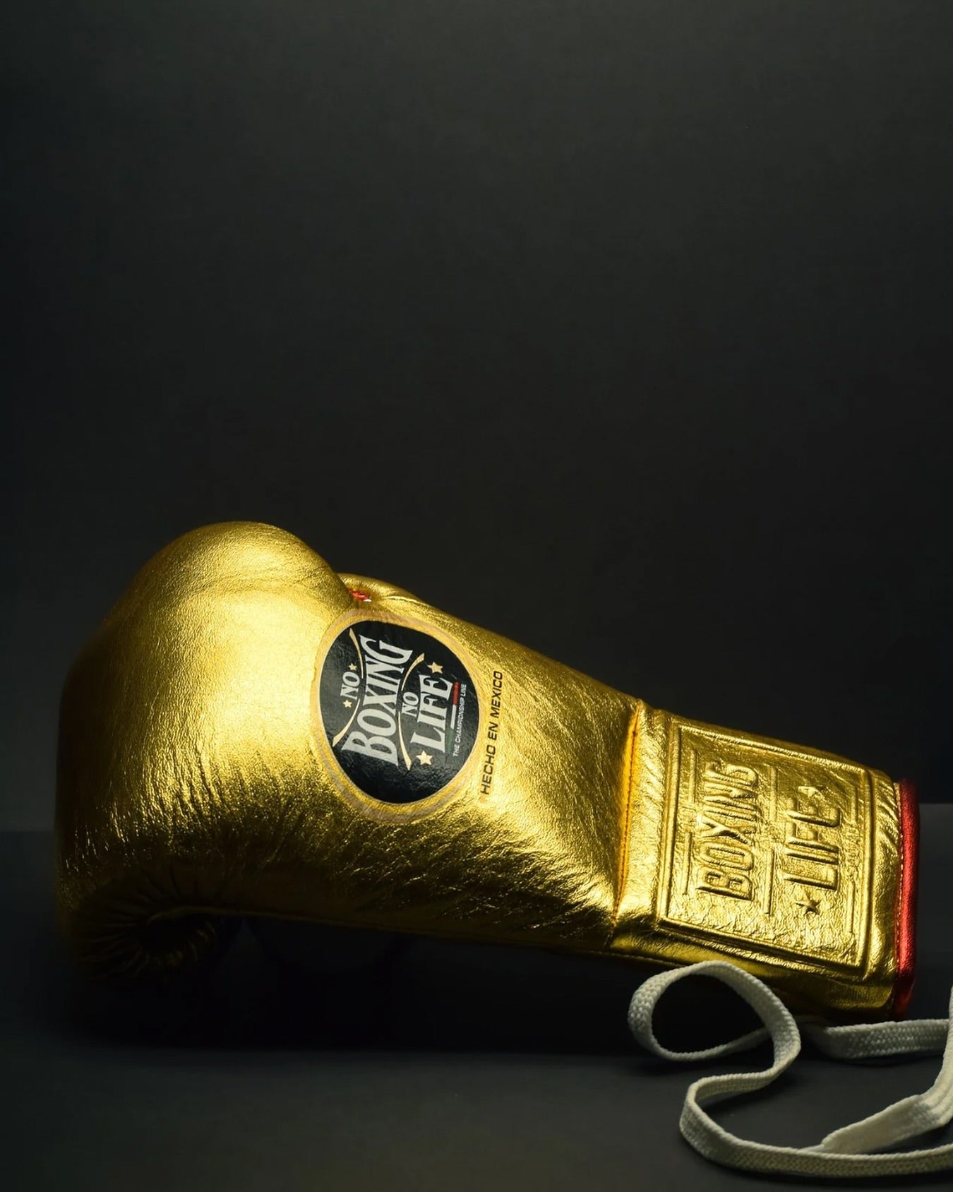 No Boxing No Life Glove - online, NBNL Boxing Gloves, Limited Addition