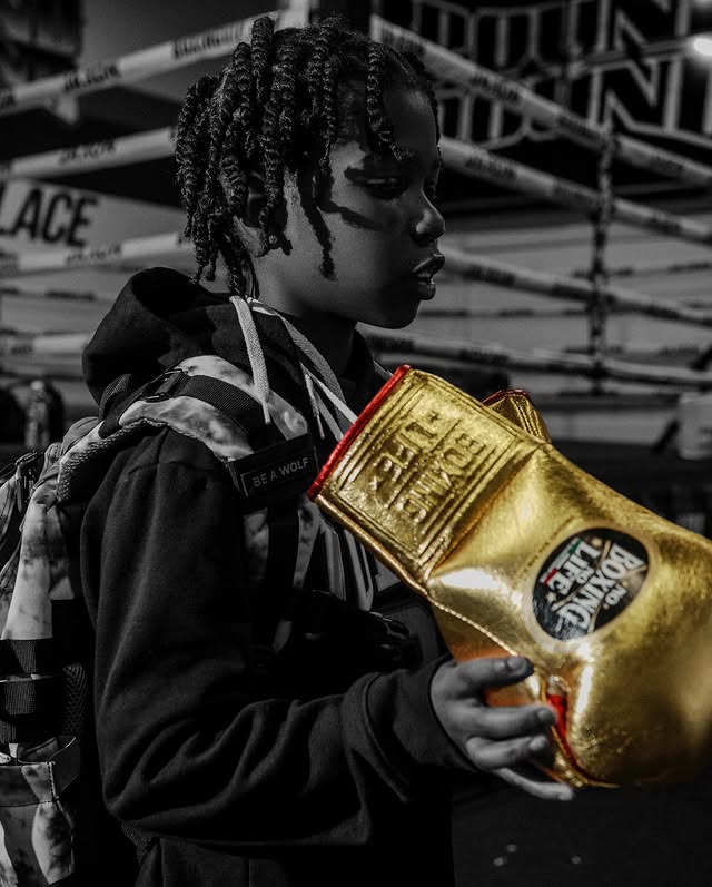 No Boxing No Life Glove - online, NBNL Boxing Gloves, Limited Addition