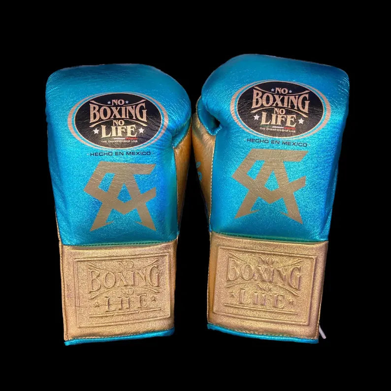 No Boxing No Life Glove - online, NBNL Boxing Gloves, Limited Addition