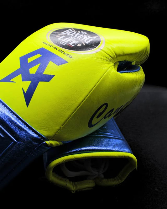 No Boxing No Life Glove - online, NBNL Boxing Gloves, Limited Addition