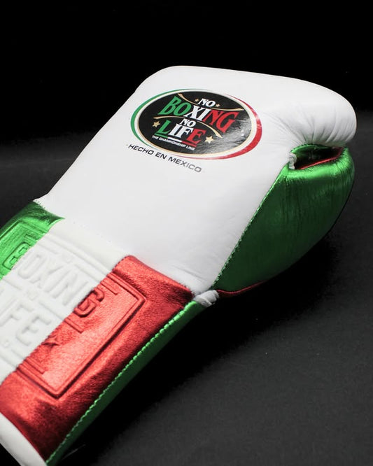 No Boxing No Life Glove - online, NBNL Boxing Gloves, Limited Addition