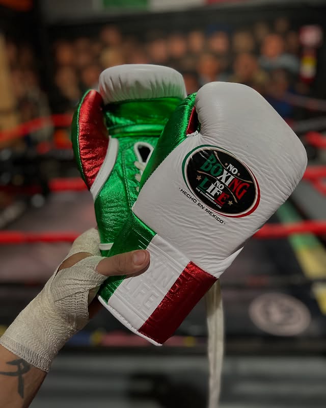 No Boxing No Life Glove - online, NBNL Boxing Gloves, Limited Addition
